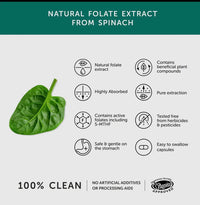 Folate Capsules (30)
From Spinach Extract