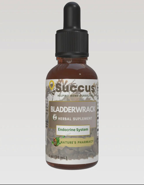 Bladderwrack Tincture 1 oz