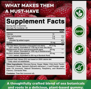 Sea Moss Gummies (60)