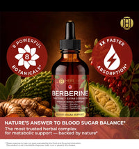 Berberine Drops (tincture) 2oz