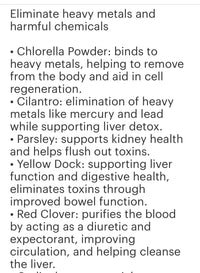 Metal Detox 2oz