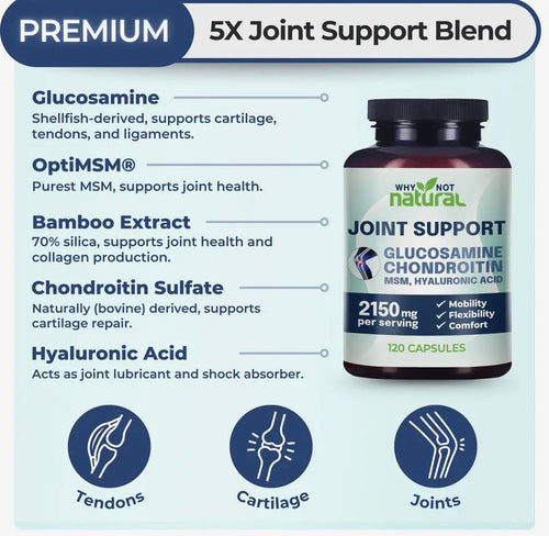 Glucosamine Chondroitin MSM Joint Support (120)
