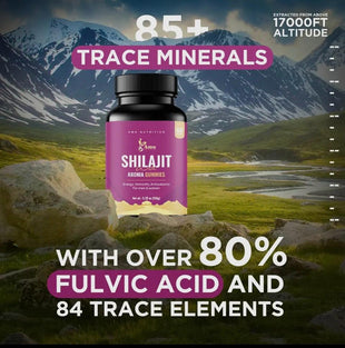 Shilajit Gummies (60)