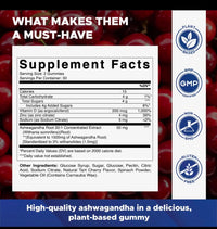 Ashwagandha Gummies (60)