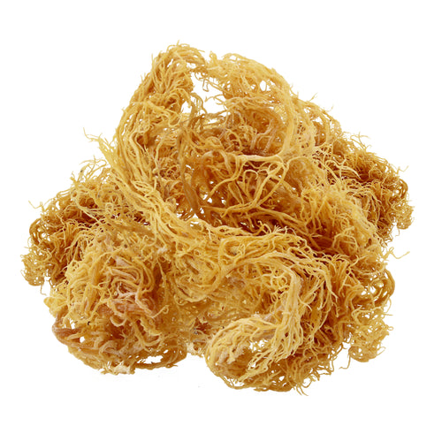 Gold Sea Moss - 2oz