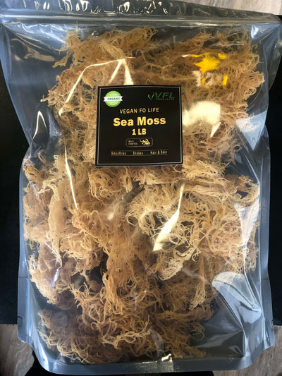 1 LB Gold Sea Moss